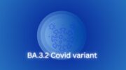 Corona-Virus: Geht die Infektionsdynamik jetzt in eine endemische Phase über?