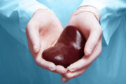 Nierentransplantation: Torque-Teno-Virus kann auf maligne postoperative Erkrankungen hinweisen