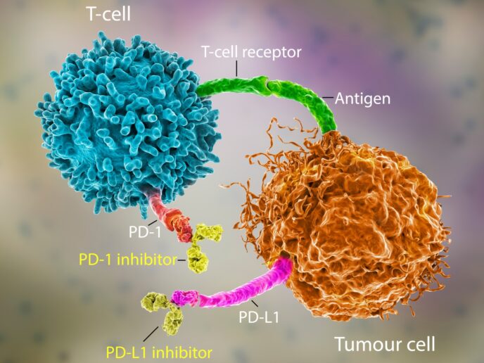 Krebszelle und Immuncheckpoint-Inhibitor