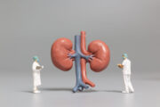 Minimal-Change-Glomerulonephritis: Weniger schwerwiegende Nebenwirkungen durch neuartige Kombinationstherapie möglich