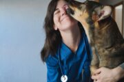 DVG-Vet-Congress 2026: Call for Abstracts