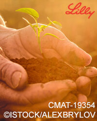 Old Peasant Hands holding green young Plant in Sunlight Rays