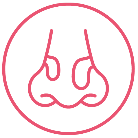 Icon: Schnelle und signifikante Reduktion des Nasal Polyp Score