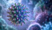 Wie das Immunsystem lebenslange Virusinfektionen bekämpft