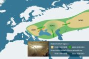 Die ersten domestizierten Pferde: 6.000 Jahre einer komplexen Geschichte