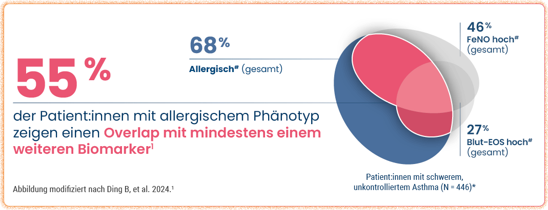 55 % der Patient:innen mit allergischem Phänotyp  zeigen einen Overlap mit mindestens einem  weiteren Biomarker[1]