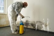 Allergisches Asthma: Programm zur Schimmelsanierung im sozialen Wohnungsbau reduziert Notfälle