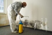 Allergisches Asthma: Programm zur Schimmelsanierung im sozialen Wohnungsbau reduziert Notfälle