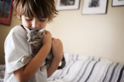 Asthma: Zusammenleben mit Katzen verschlimmert Erkrankung von Kindern nicht