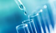 Netzhautzelltransplantation: Die richtige Zellpopulation als Schlüssel zum Therapieerfolg