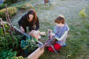 Auch im eigenen Garten lauern Gefahren durch Parasiten