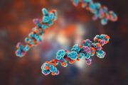 Typ-1-Diabetes: Erster dualer GLP-1-/GIP-Agonist verbessert Blutzuckerkontrolle