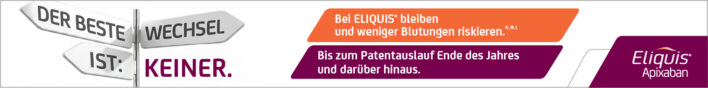 260617_INDI_Banner_Wegweiser_728x90px_statisch_ohneFIBI_01