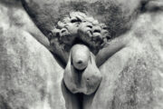 Frenulum-Delta als spezialisiertes Zentrum der sexuellen Empfindung des Penis