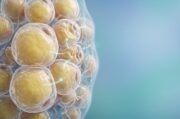 HFpEF: Fettgewebe rückt als Therapieziel in den Fokus