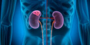 Klarzelliges Nierenzellkarzinom: Pneumokokken könnten Biomarker für das Therapieansprechen darstellen