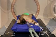 Feline idiopathische Zystitis (FIC): Low-Dose-Radiotherapie als neue Behandlungsoption