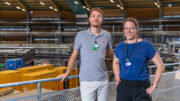 Nano-Einblicke in die Stabilität von Knochen
