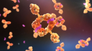 Visugromab überwindet Resistenz gegen Krebsimmuntherapie