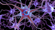 Parkinson: Hautbiopsien ermöglichen Unterscheidung der Body-first- und Brain-first-Subtypen