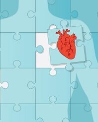 The missing piece of the heart health puzzle finds its place