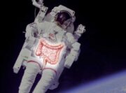 Obstipation ist bei Astronauten häufig – Forschungsergebnisse betreffen auch Patienten auf der Erde