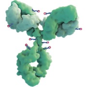 TRODELVY® Sicherheitsprofil